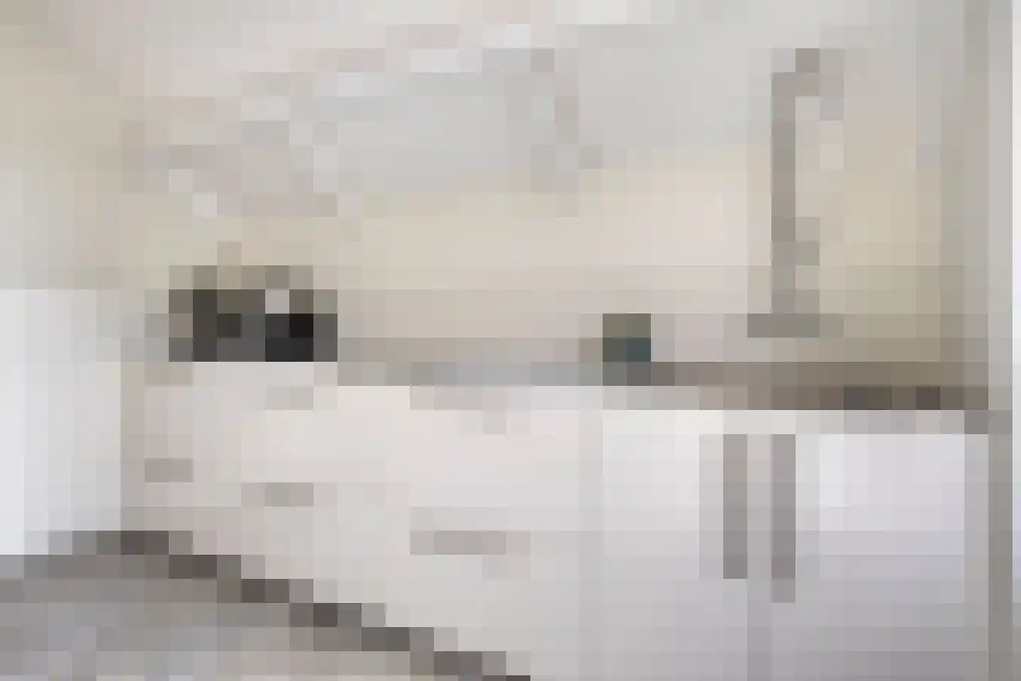 Monnikendijk 1 Kattendijke thumbnail 25