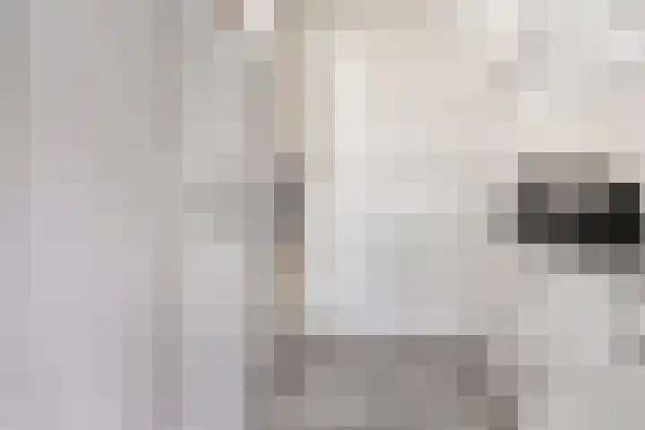 Monnikendijk 1 Kattendijke thumbnail 26