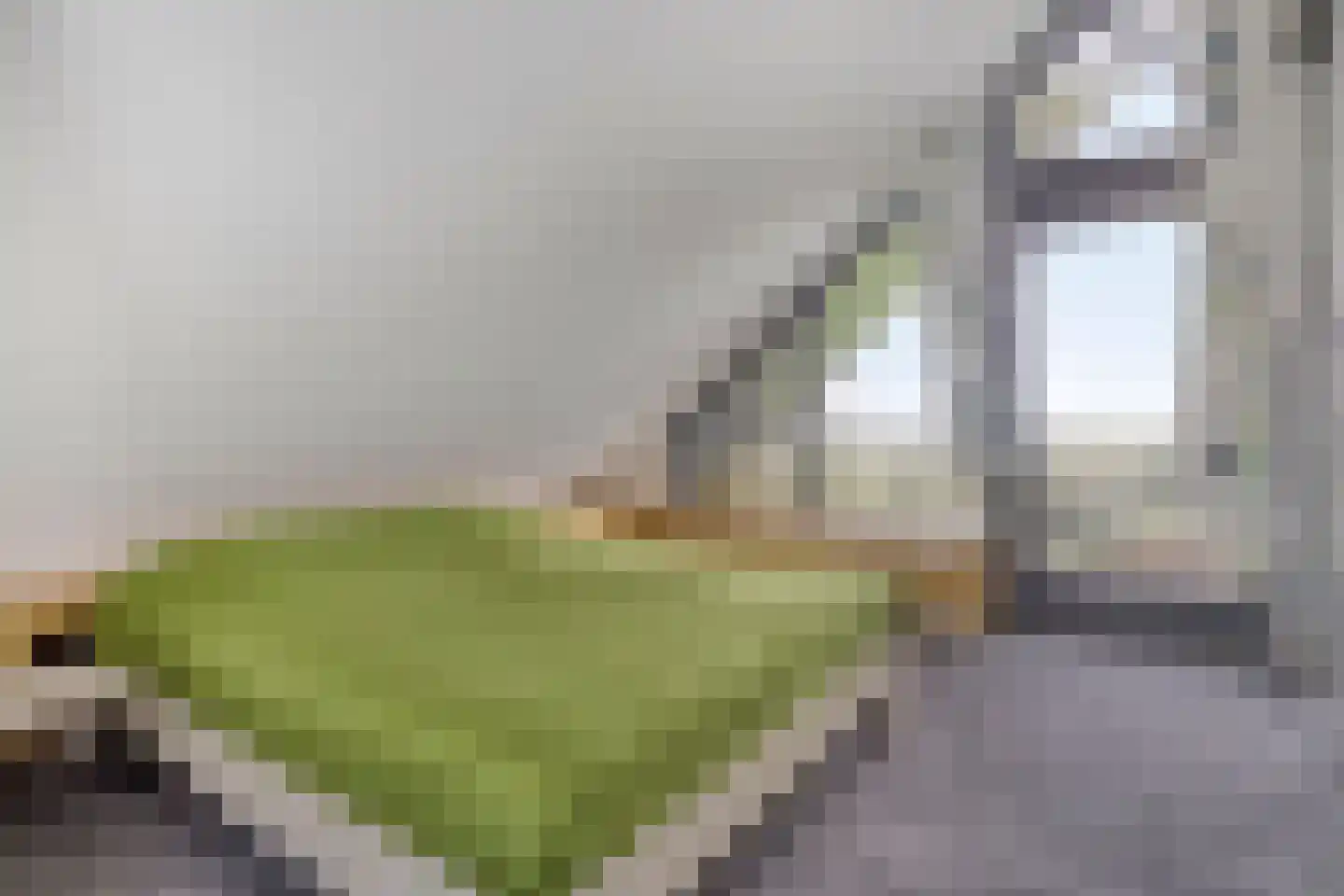 Monnikendijk 1 Kattendijke thumbnail 28