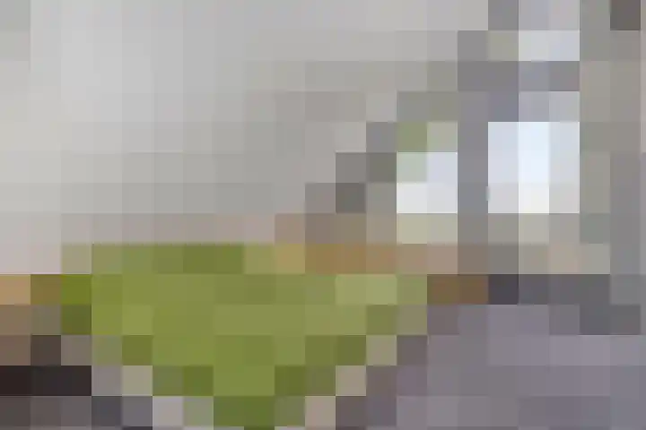 Monnikendijk 1 Kattendijke thumbnail 28