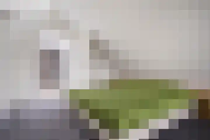 Monnikendijk 1 Kattendijke thumbnail 29