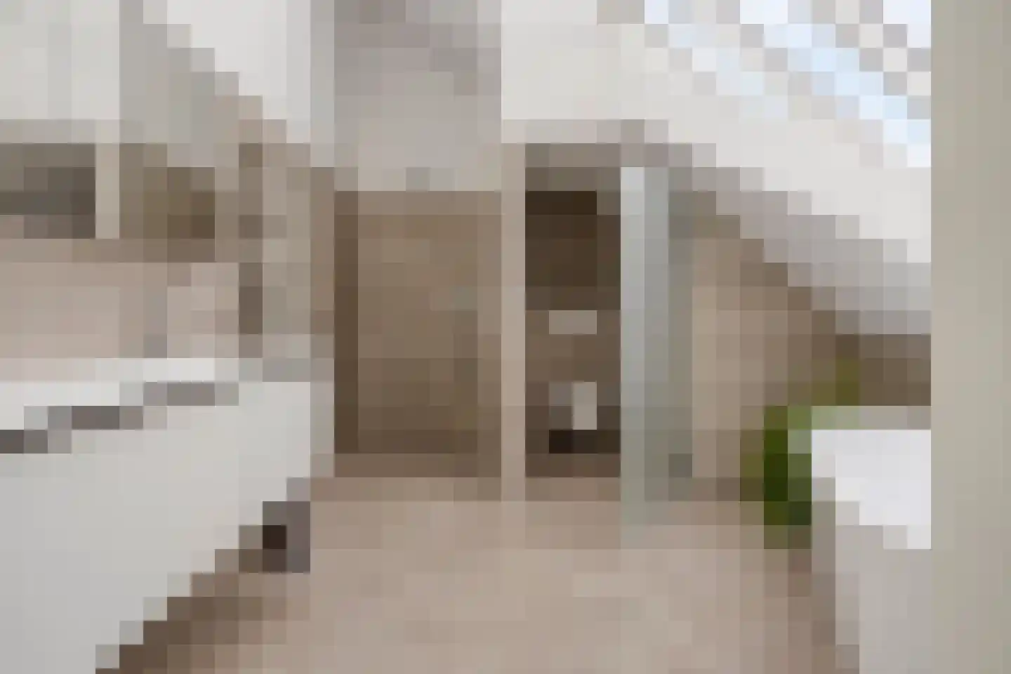 Monnikendijk 1 Kattendijke thumbnail 31