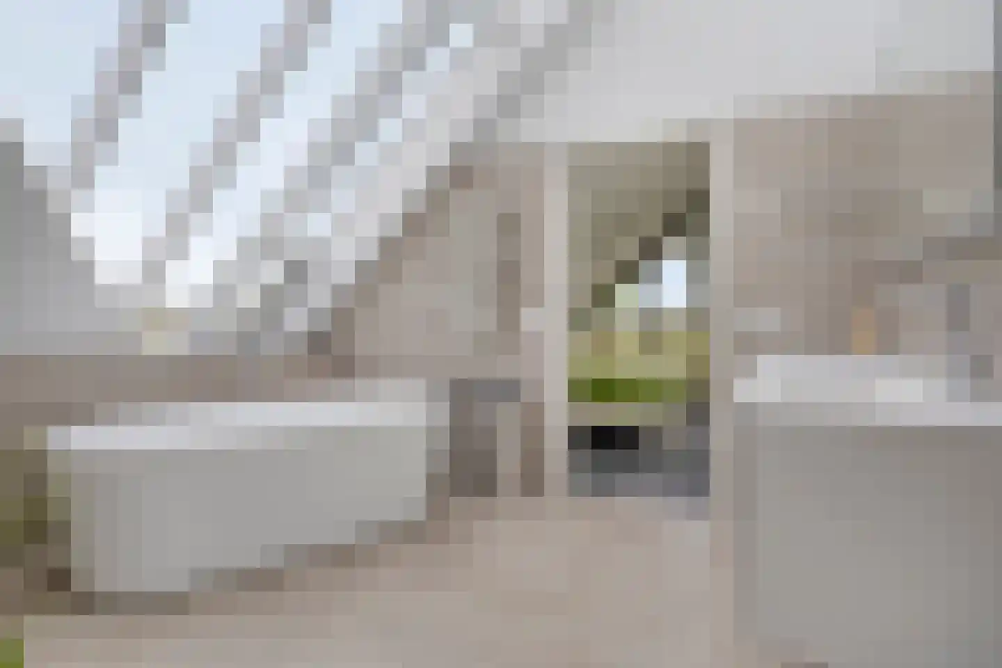 Monnikendijk 1 Kattendijke thumbnail 33
