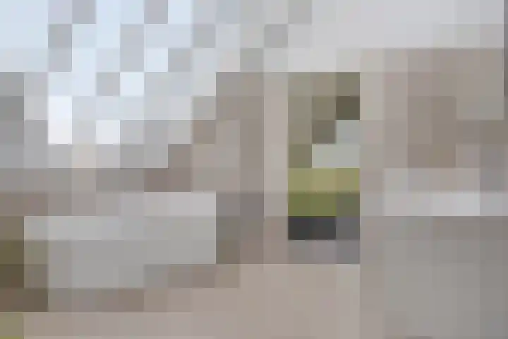 Monnikendijk 1 Kattendijke thumbnail 33
