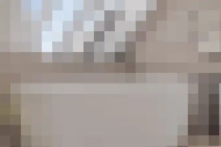 Monnikendijk 1 Kattendijke thumbnail 34