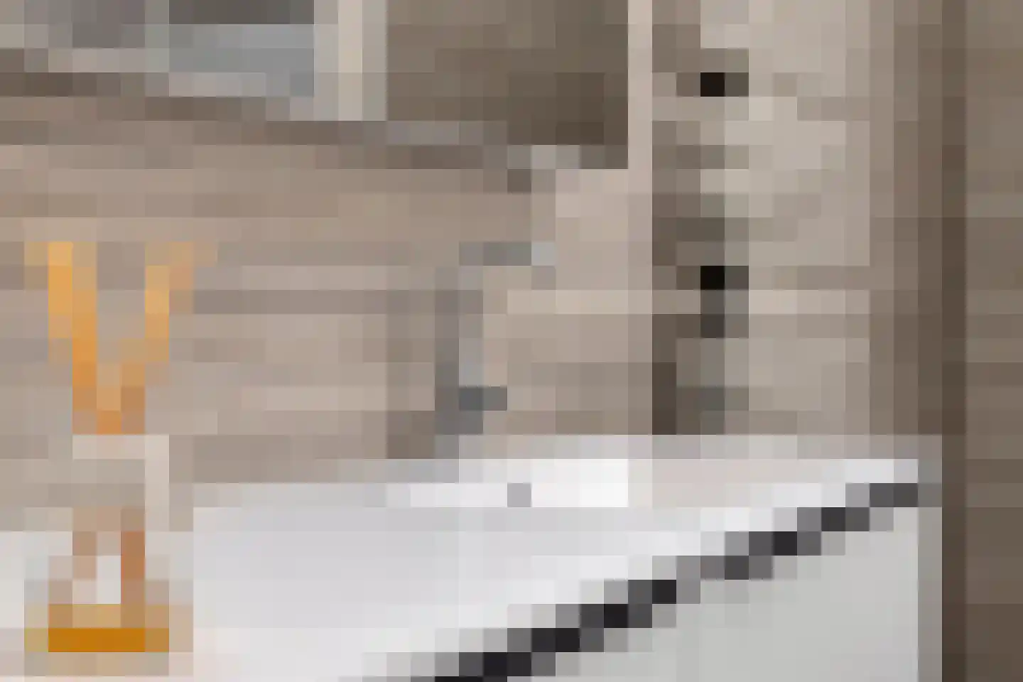 Monnikendijk 1 Kattendijke thumbnail 35