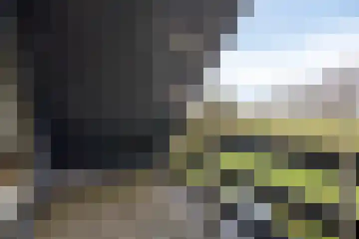 Monnikendijk 1 Kattendijke thumbnail 36