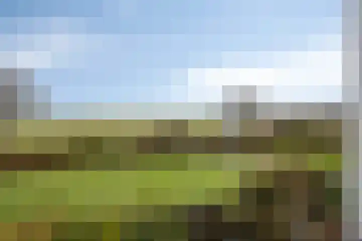 Monnikendijk 1 Kattendijke thumbnail 37