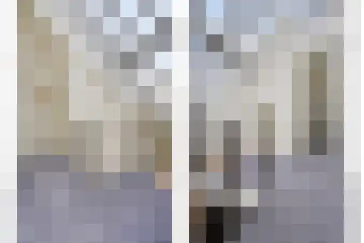 Monnikendijk 1 Kattendijke thumbnail 38