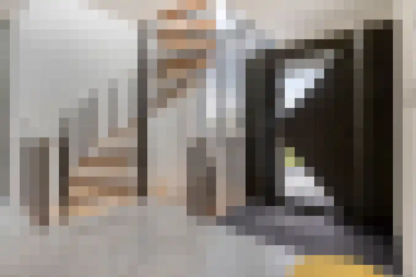 Monnikendijk 1 Kattendijke thumbnail 4