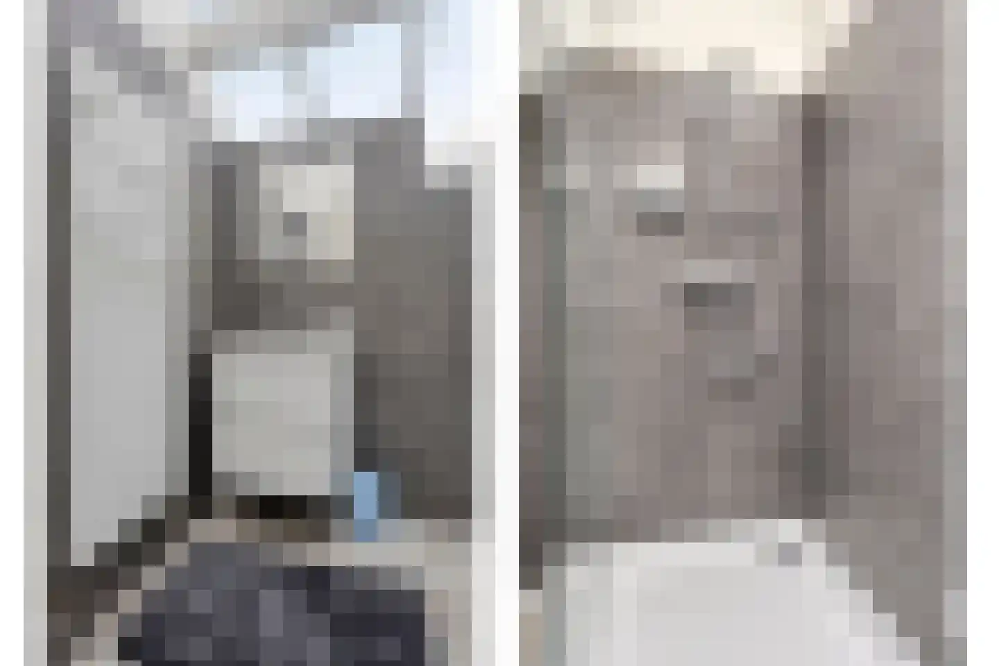 Monnikendijk 1 Kattendijke thumbnail 45