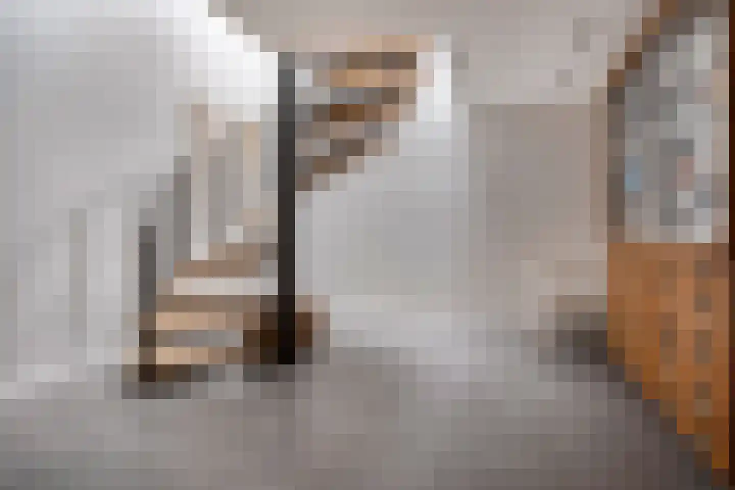 Monnikendijk 1 Kattendijke thumbnail 46