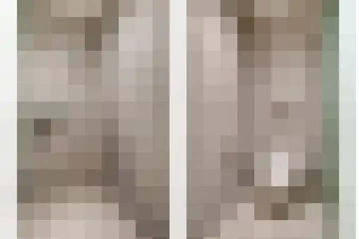 Monnikendijk 1 Kattendijke thumbnail 57
