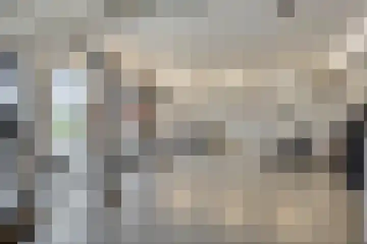 Monnikendijk 1 Kattendijke thumbnail 58