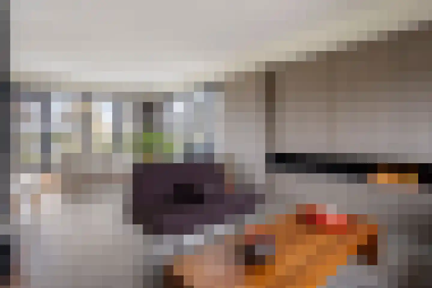 Monnikendijk 1 Kattendijke thumbnail 6