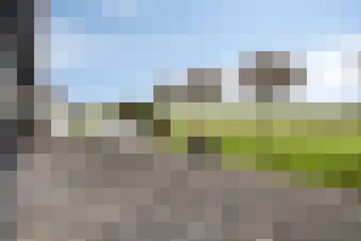 Monnikendijk 1 Kattendijke thumbnail 61