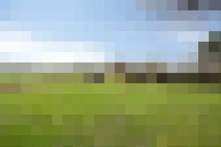 Monnikendijk 1 Kattendijke thumbnail 62
