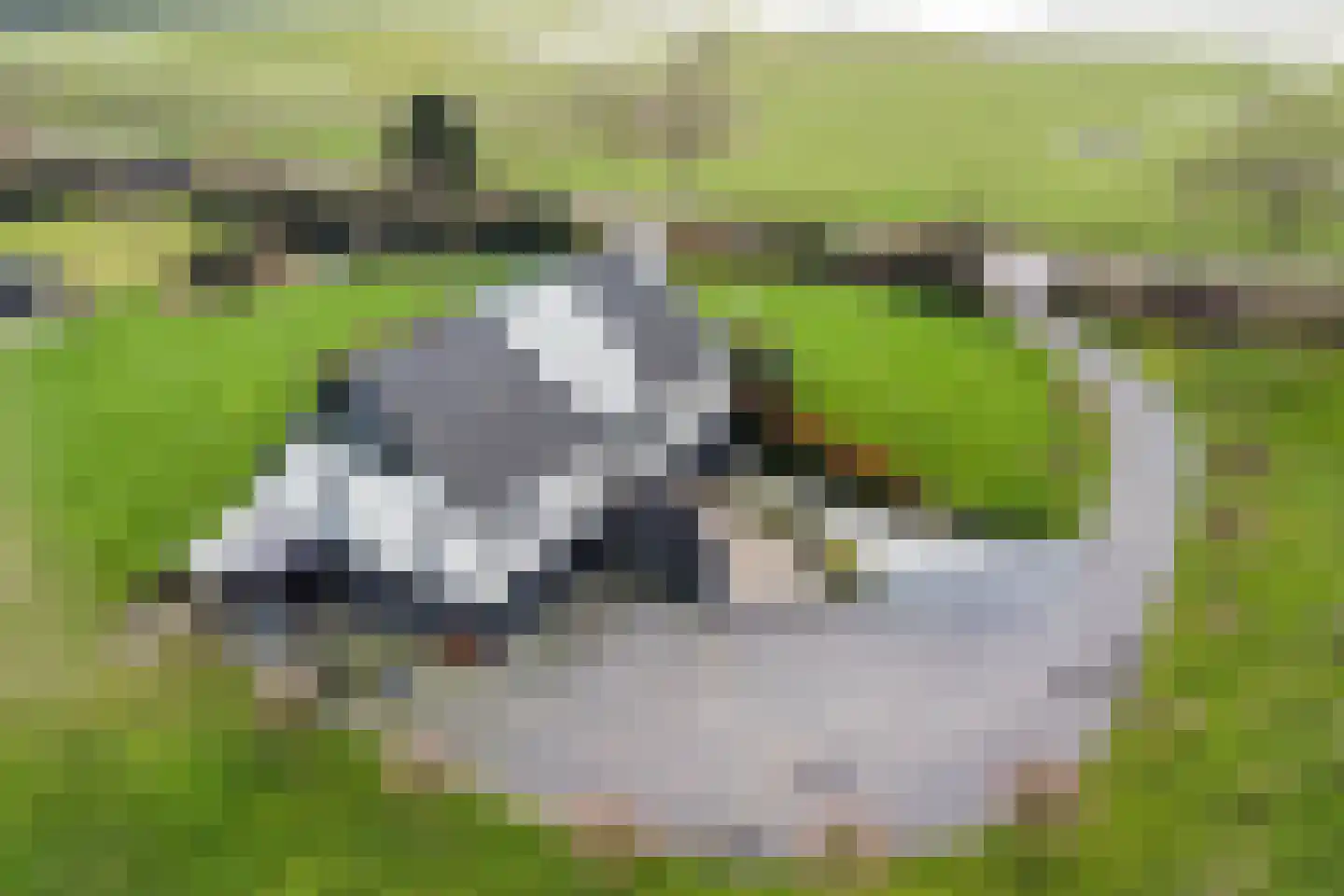 Monnikendijk 1 Kattendijke thumbnail 66