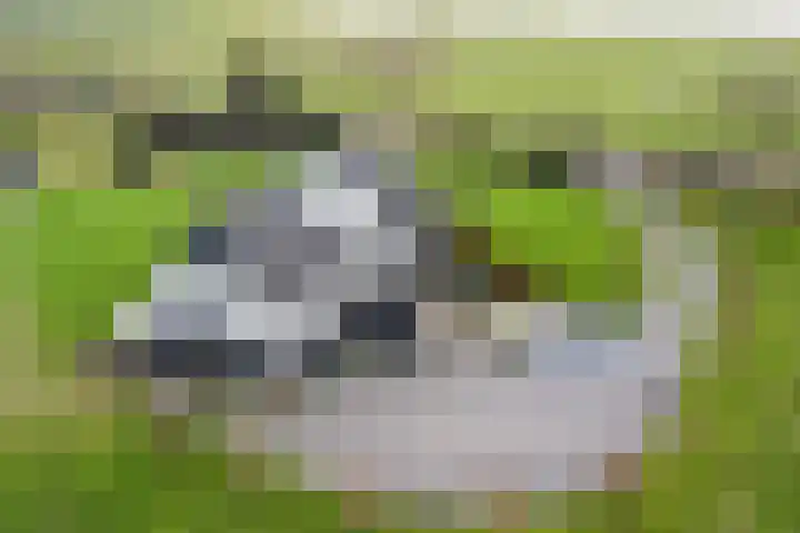 Monnikendijk 1 Kattendijke thumbnail 66
