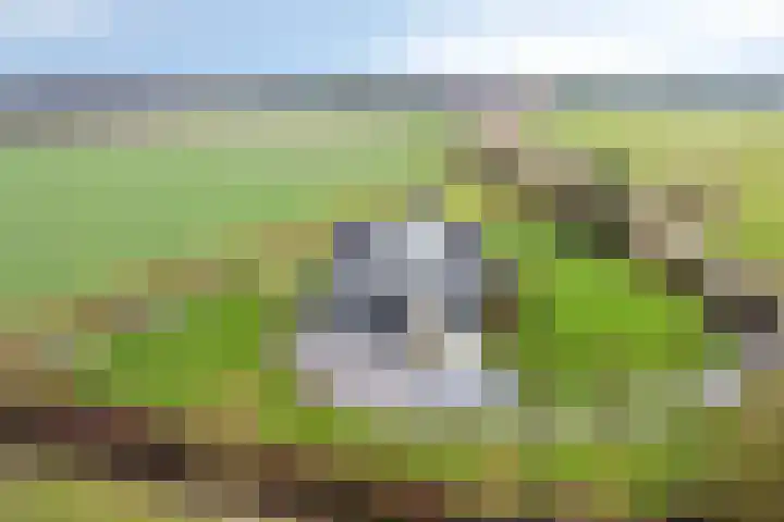 Monnikendijk 1 Kattendijke thumbnail 67