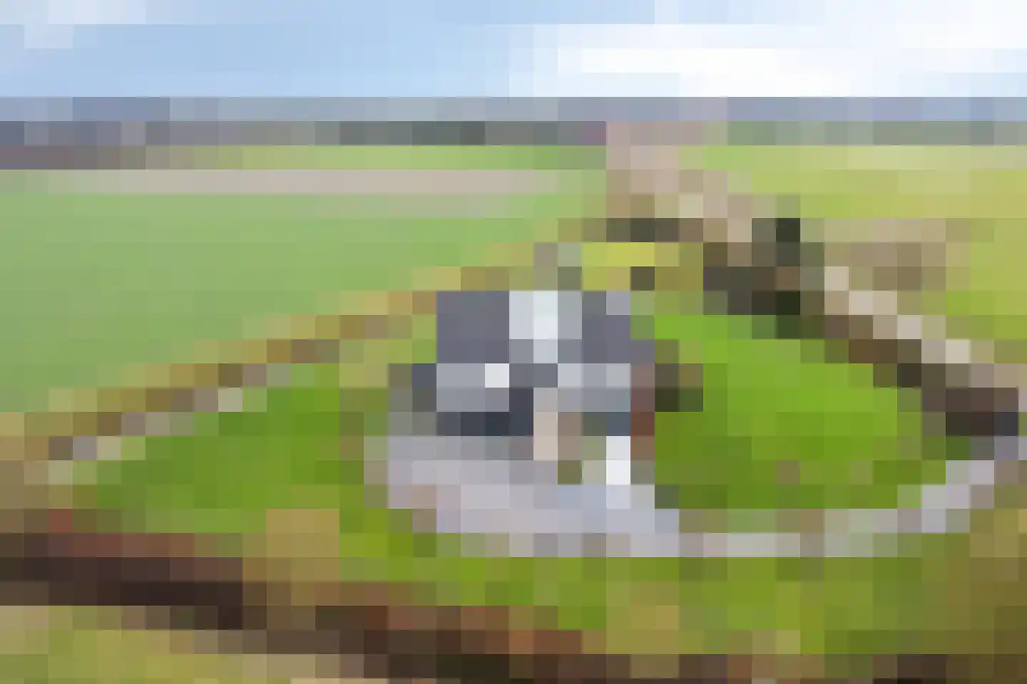 Monnikendijk 1 Kattendijke thumbnail 67