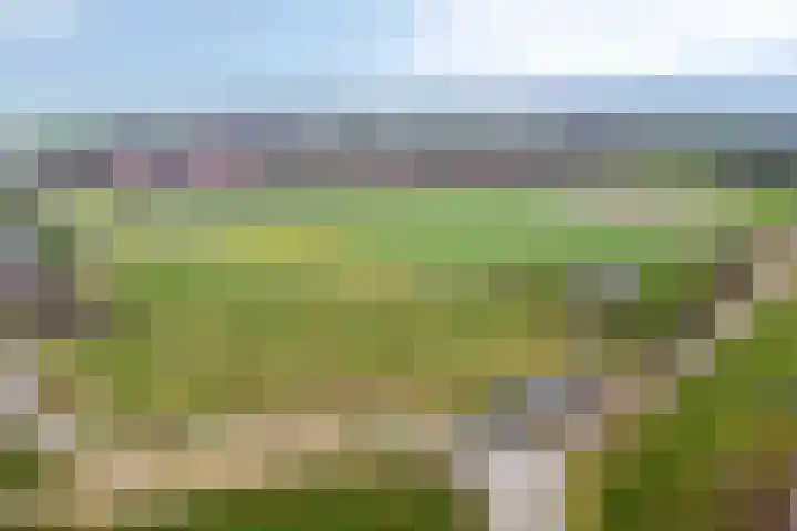 Monnikendijk 1 Kattendijke thumbnail 68
