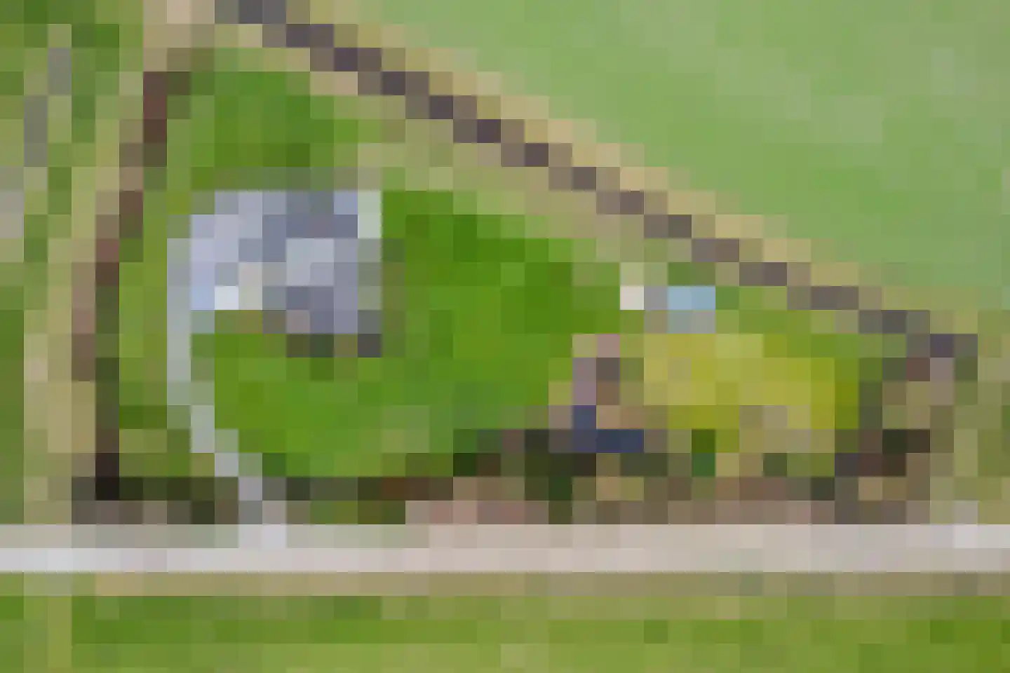 Monnikendijk 1 Kattendijke thumbnail 69