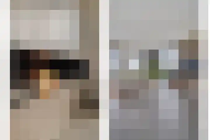 Monnikendijk 1 Kattendijke thumbnail 9