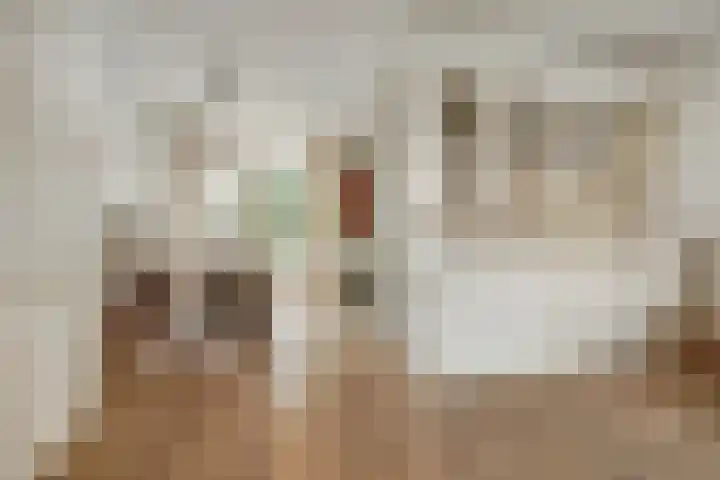 Monnikenmoer 22 Sprundel thumbnail 10