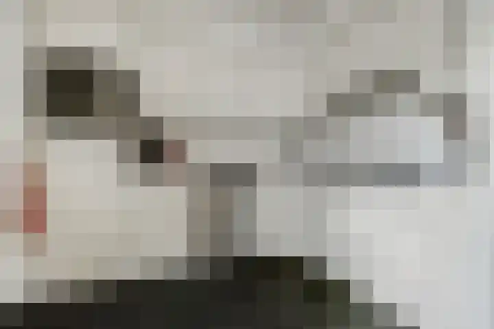 Monnikenmoer 22 Sprundel thumbnail 11