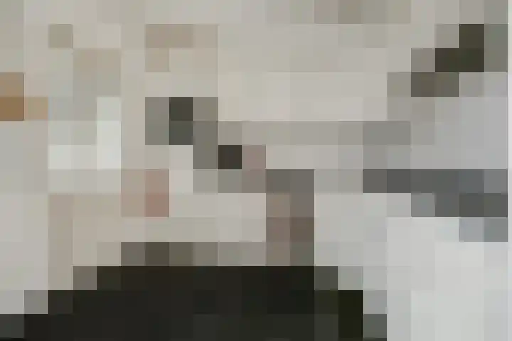 Monnikenmoer 22 Sprundel thumbnail 12