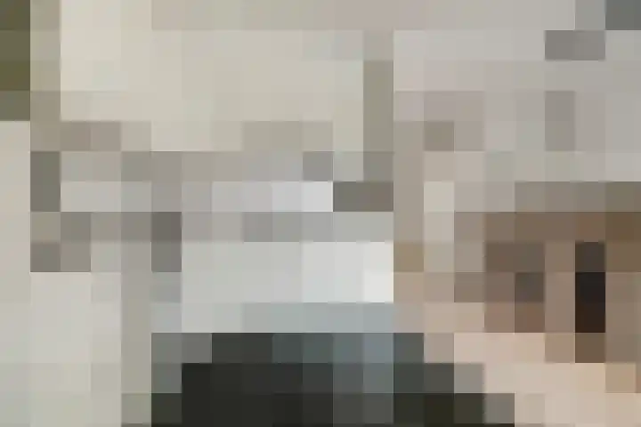 Monnikenmoer 22 Sprundel thumbnail 13