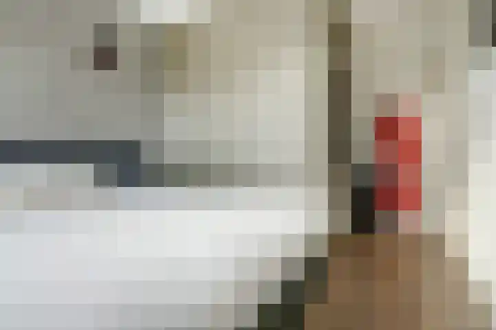 Monnikenmoer 22 Sprundel thumbnail 16