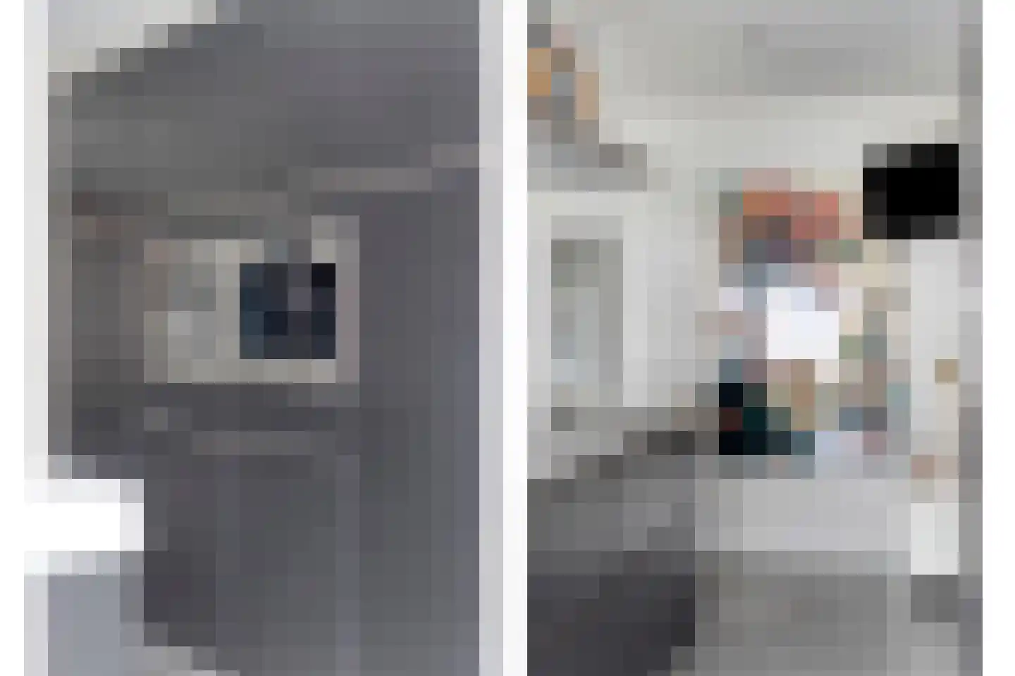 Monnikenmoer 3 Sprundel thumbnail 12