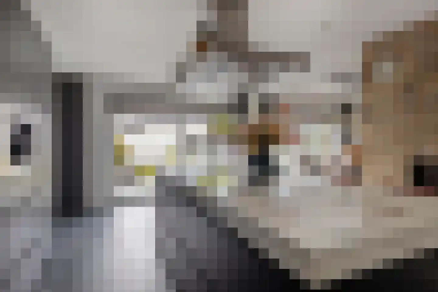 Monnikenmoer 3 Sprundel thumbnail 14
