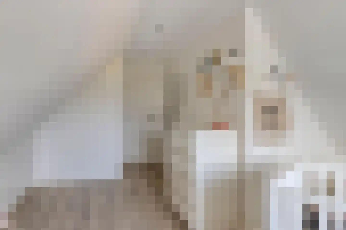 Monnikenmoer 3 Sprundel thumbnail 29