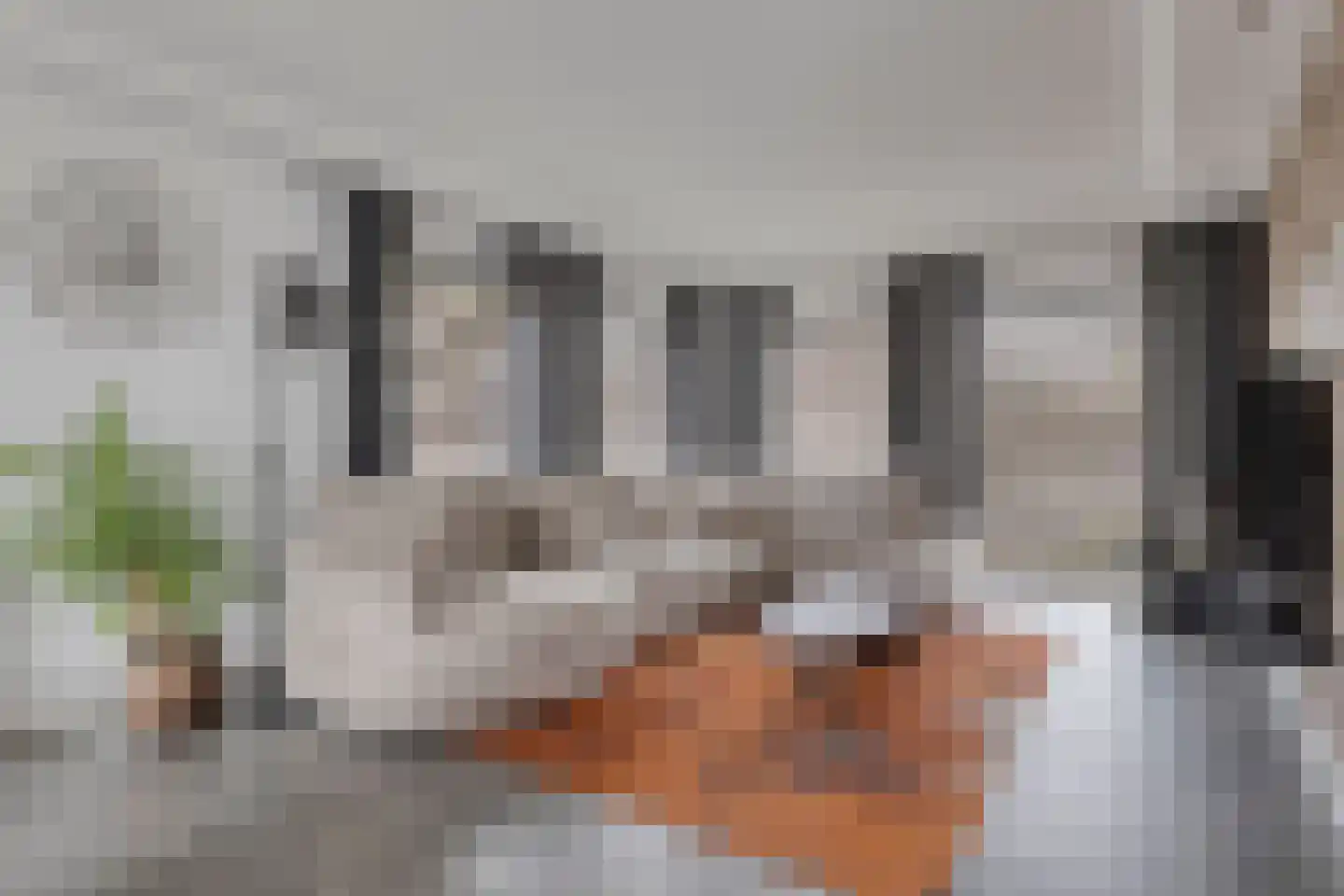 Monnikenmoer 3 Sprundel foto 3