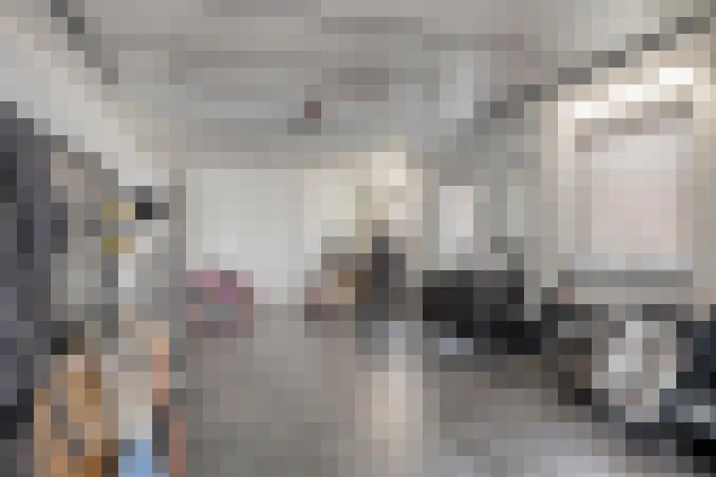 Monnikenmoer 3 Sprundel thumbnail 37
