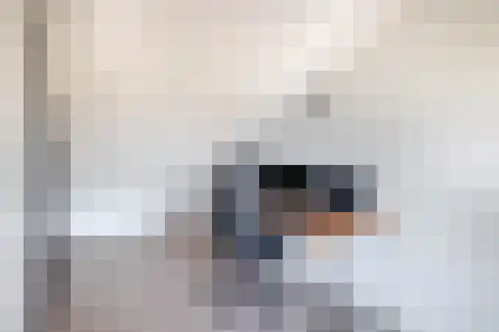 Monnikenpad 17 Veldhoven thumbnail 30