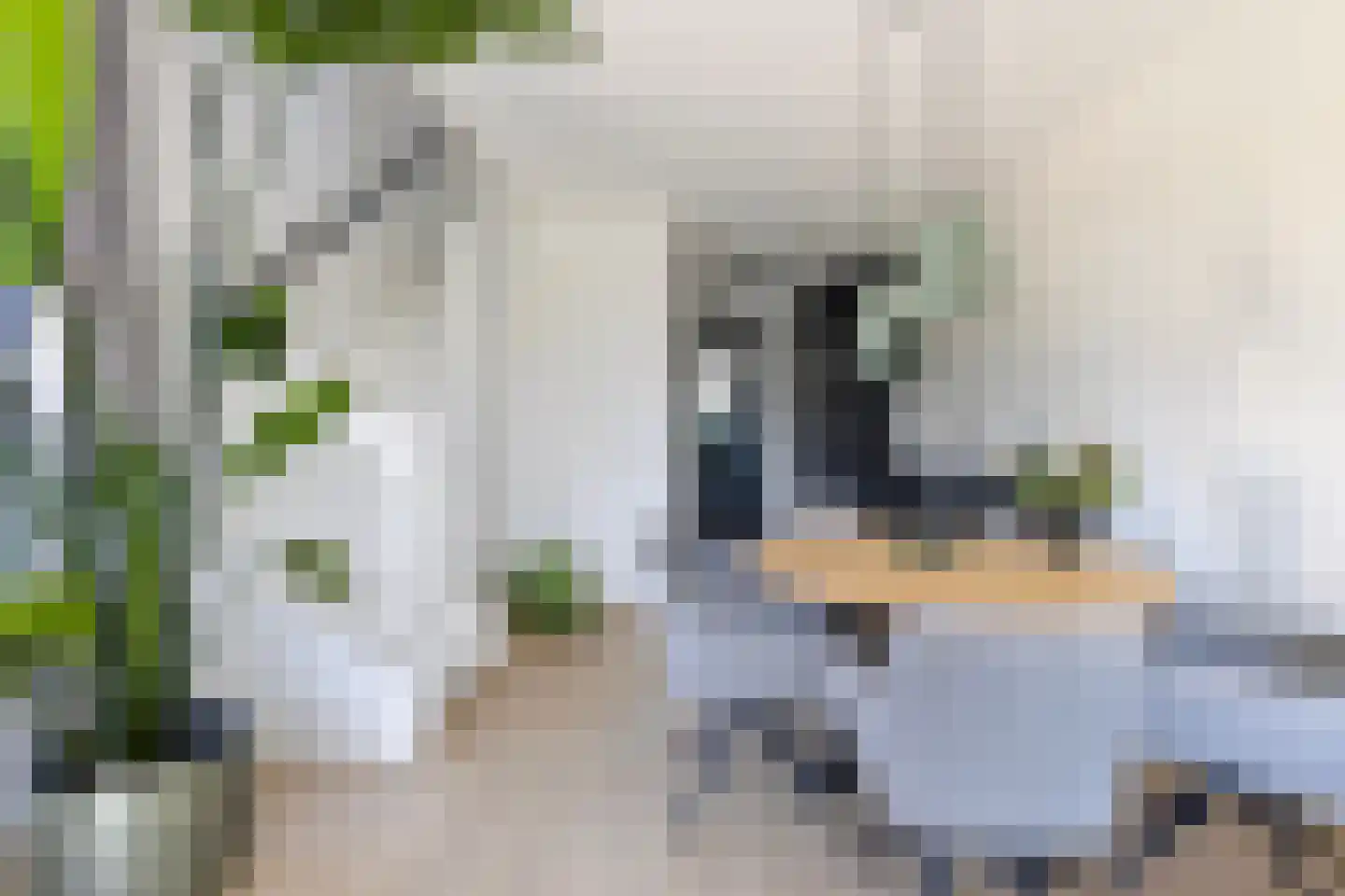 Monnikenpad 2 Veldhoven thumbnail 10