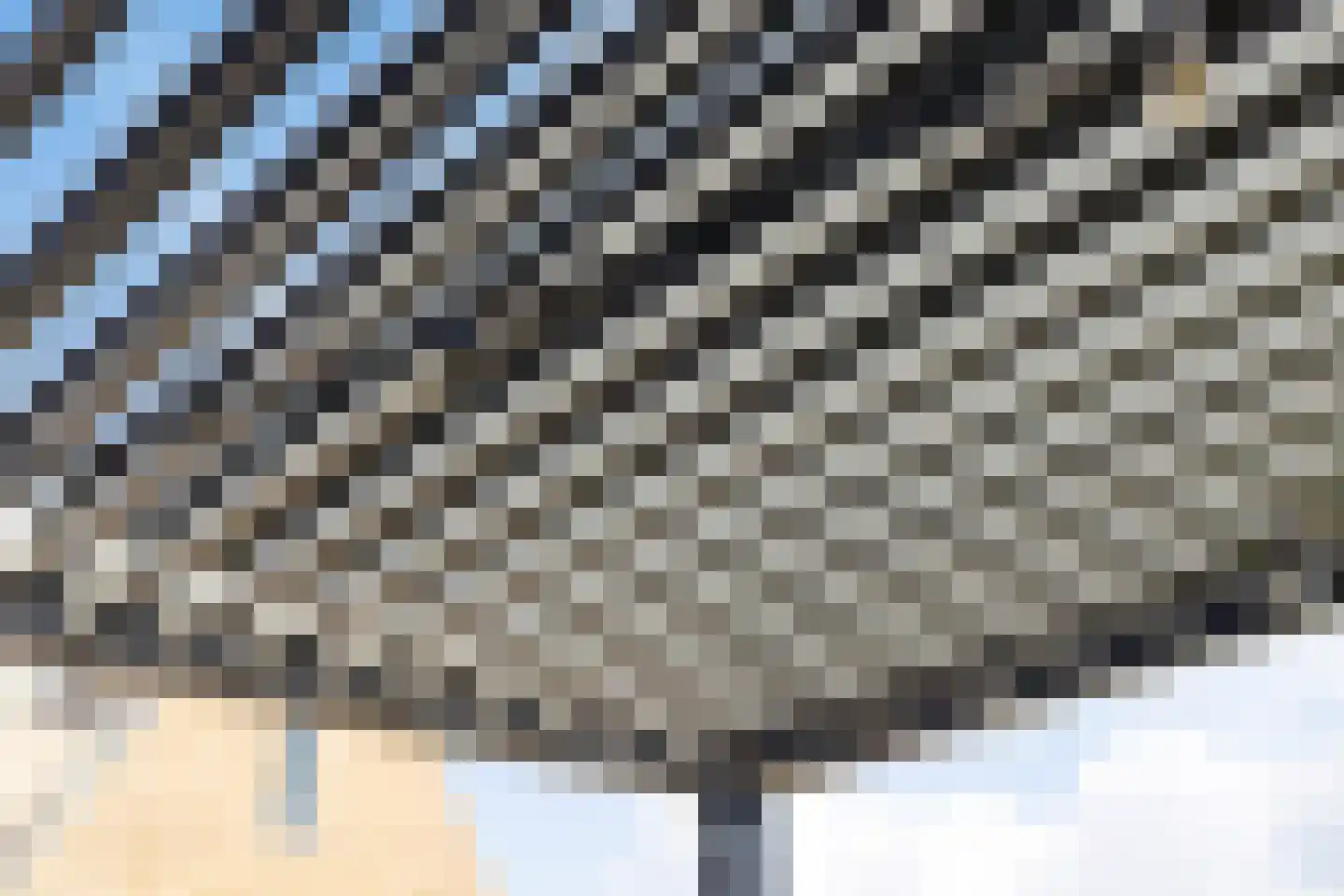 Monnikenpad 2 Veldhoven thumbnail 24
