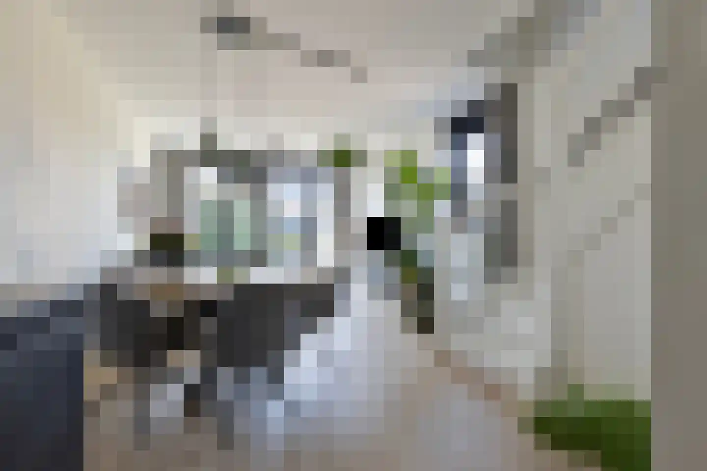 Monnikenpad 2 Veldhoven thumbnail 6