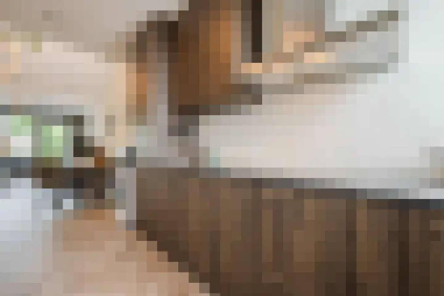 Monnikenpad 21 Veldhoven thumbnail 13