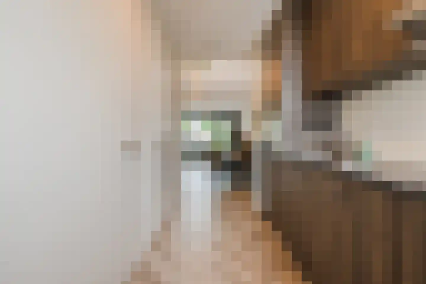 Monnikenpad 21 Veldhoven thumbnail 14