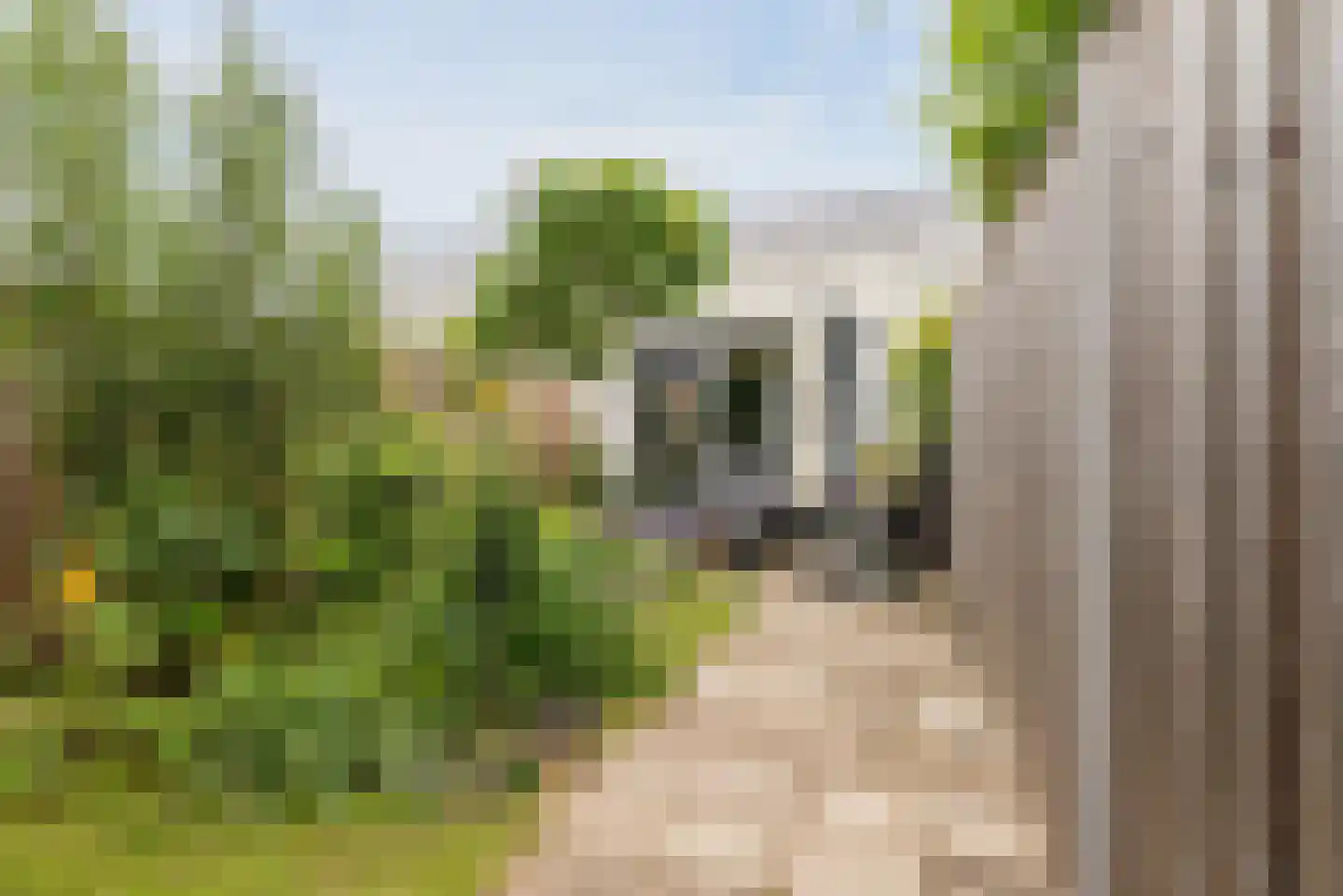 Monnikenpad 21 Veldhoven thumbnail 27