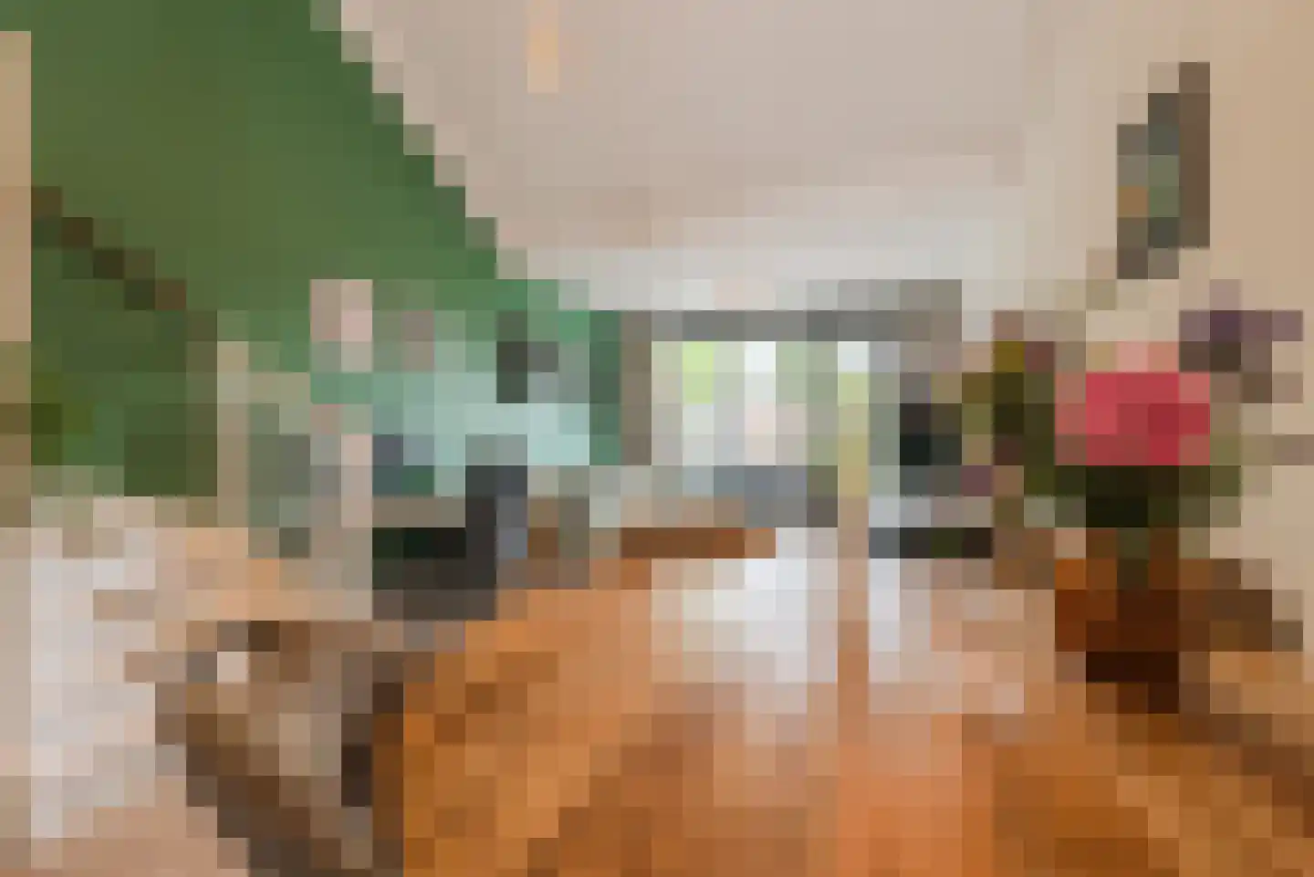 Monnikenpad 21 Veldhoven thumbnail 9