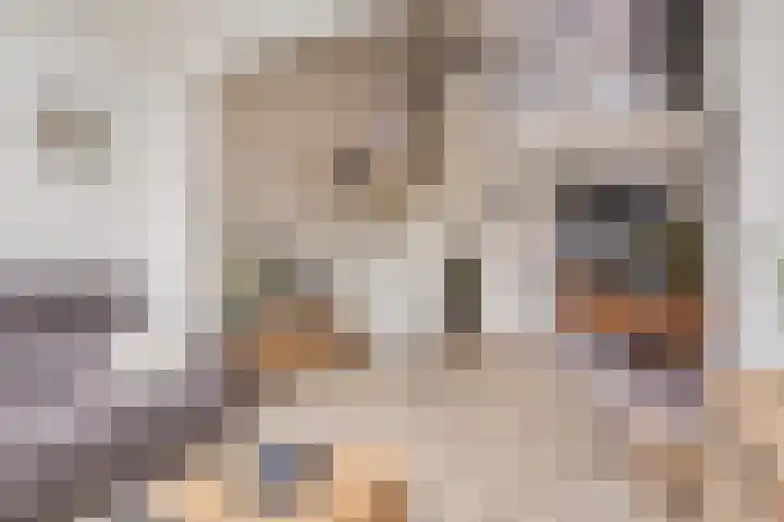 Monnikenpad 23 Veldhoven thumbnail 10