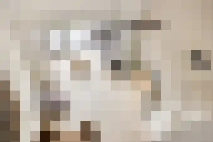 Monnikenpad 23 Veldhoven thumbnail 19