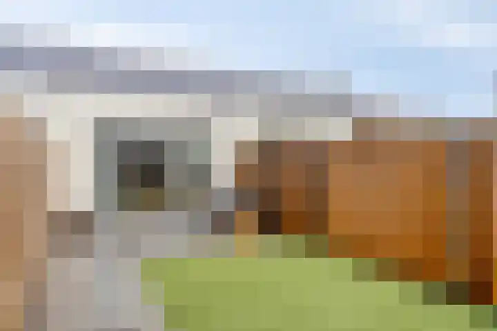 Monnikenpad 23 Veldhoven thumbnail 21