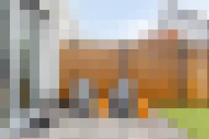 Monnikenpad 23 Veldhoven thumbnail 23